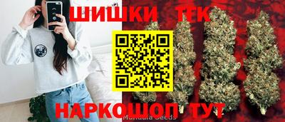 индика Кулебаки