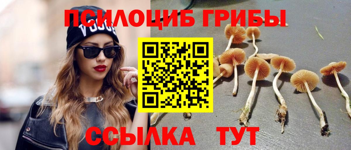 Слободской  дарнет шоп  Вход с VPN  Галлюциногенные грибы Magic Shrooms 