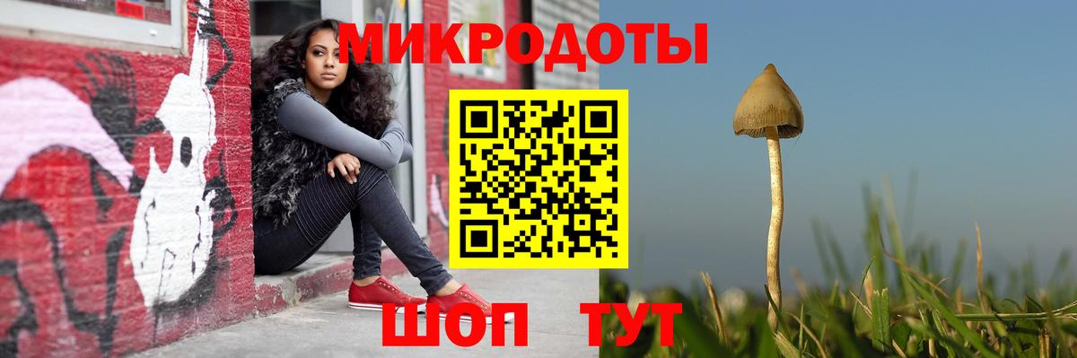 Псилоцибиновые грибы Psilocybine cubensis Слободской